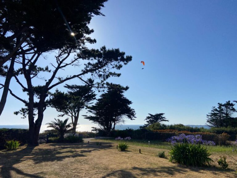 Jardin arboré offrant une vue dégagée sur l'océan sous un ciel bleu azur.